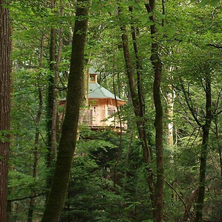 Les cabanes de Kermenguy Cléder Chambre photo