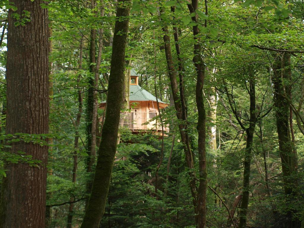 Les cabanes de Kermenguy Cléder Chambre photo
